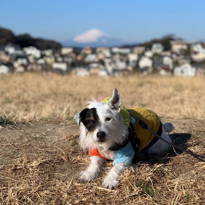 62bcb35a 6e3b 4245 929e 1af5aa611936 1737507027298