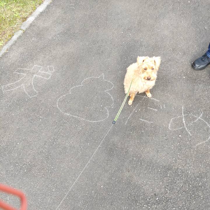 62bcb6cf fcb3 458b a41b 59380230dcdc 1601264868855