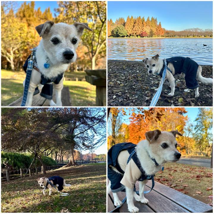 62bccecc 8786 4b71 827f 02ee00f0aeb4 1764152418262