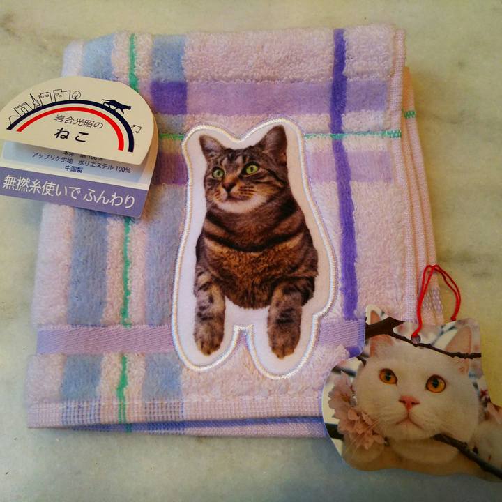 62bcdfcd 2f4d 4821 90f1 852904df8a21 1511996406721