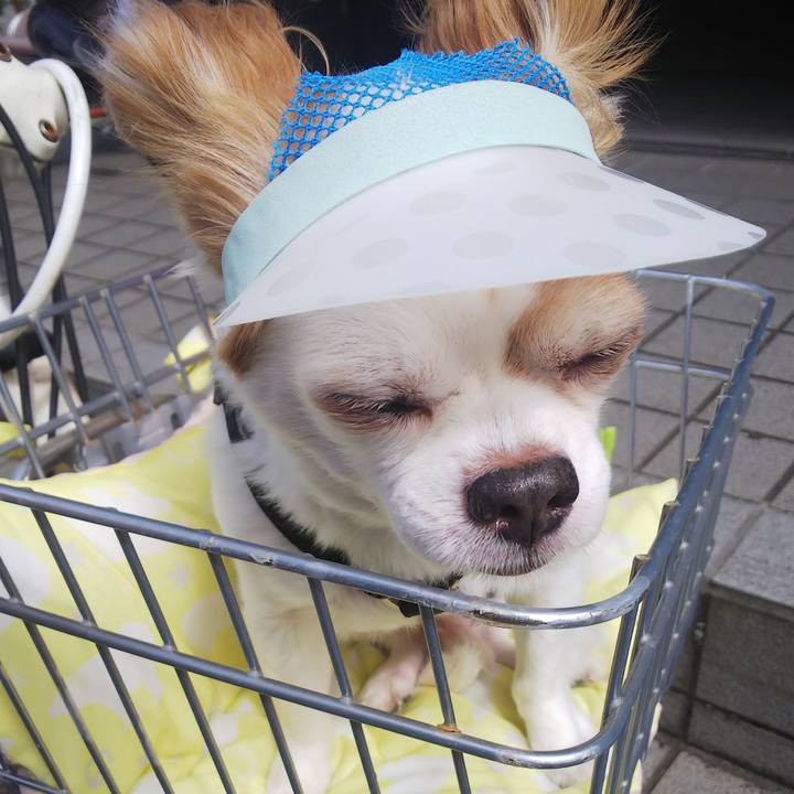 62bcfb57 d73c 4544 a9ff 311d70dd2c3c 1569649441965