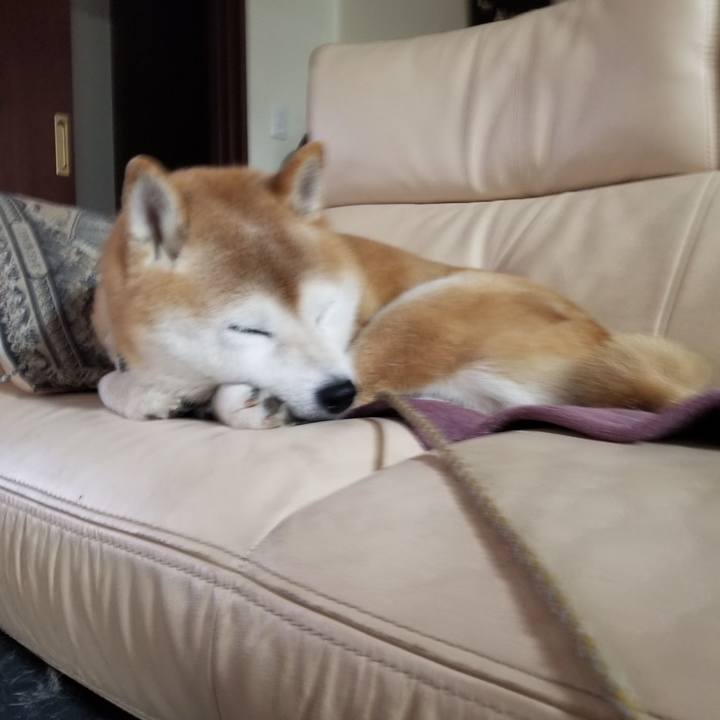 62bd27ba 3102 45d1 83e6 5504ceb699b0 1699482038245