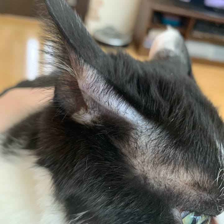 62bd3a81 9a10 4e98 96f1 a79f41d6b26b 1683329228509