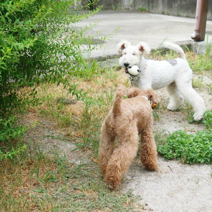 62bd5696 a9ec 4a68 a455 25d993727d96 1533874259410