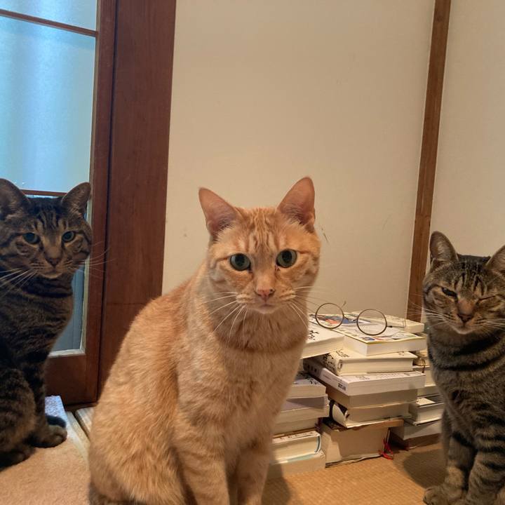 62bd863a 5120 4b7f 94e2 f5d10eb62c22 1716694488681