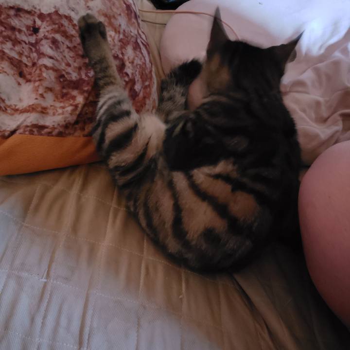 62bde015 2a17 4162 bcf9 8e3d6f61a544 1543167503376