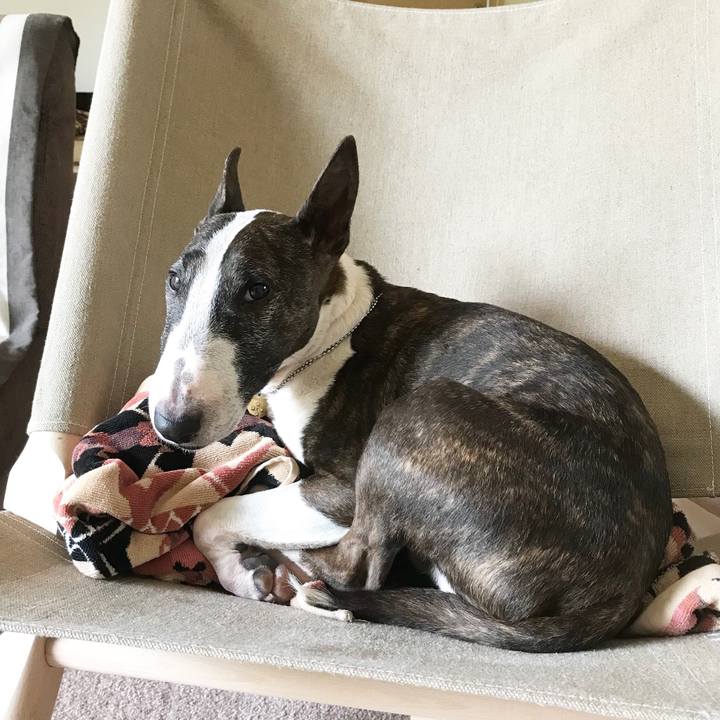 62be0918 fe0f 42d9 9bcc 65f13cac33ff 1526276046145