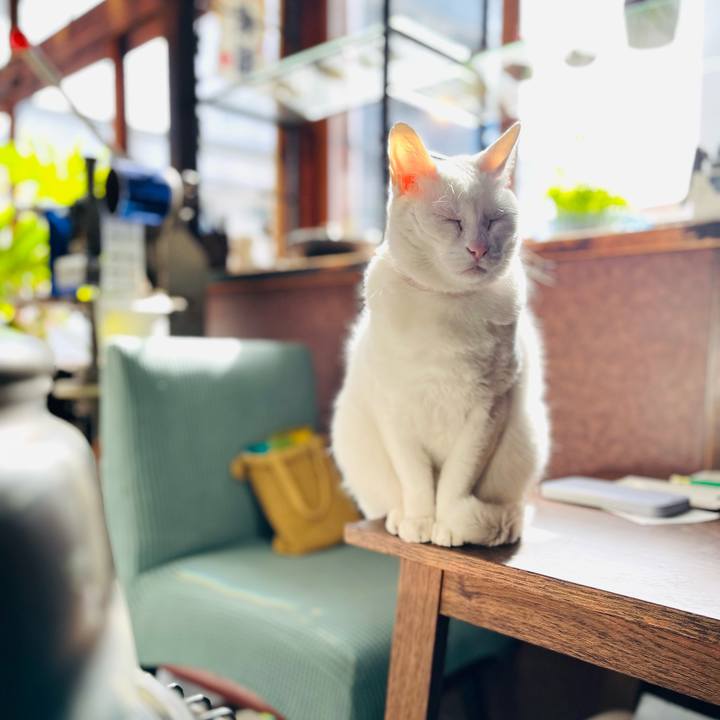 62be19fd 0710 4ccc 9019 22eebefec9d0 1769402808719