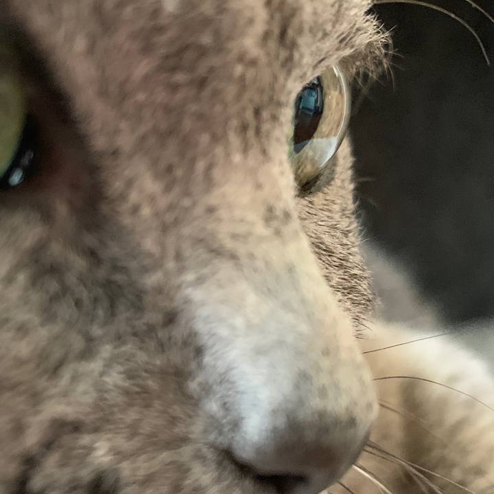 62be74da eefd 4e32 8dbc fcf8ad94d760 1586564273862