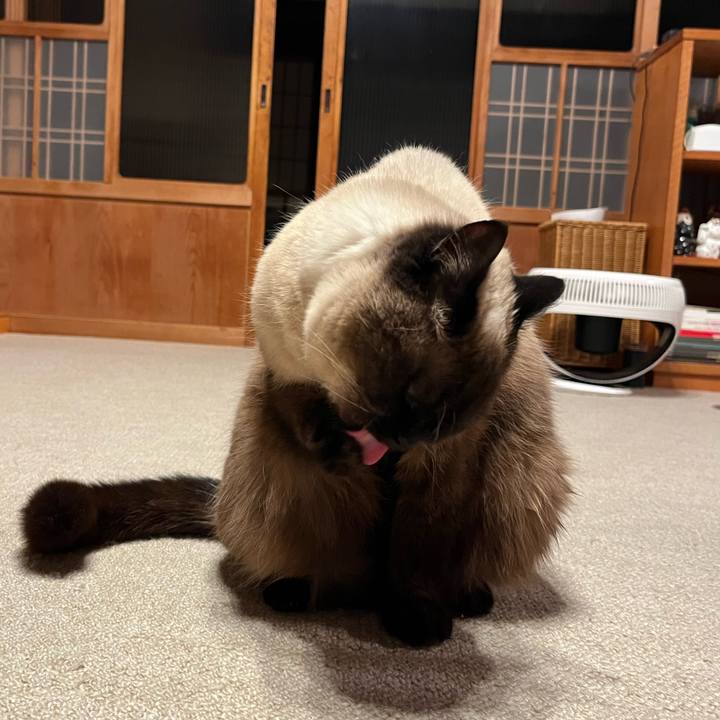 62beaf89 39ae 40c6 8366 615c992285e2 1651625303040