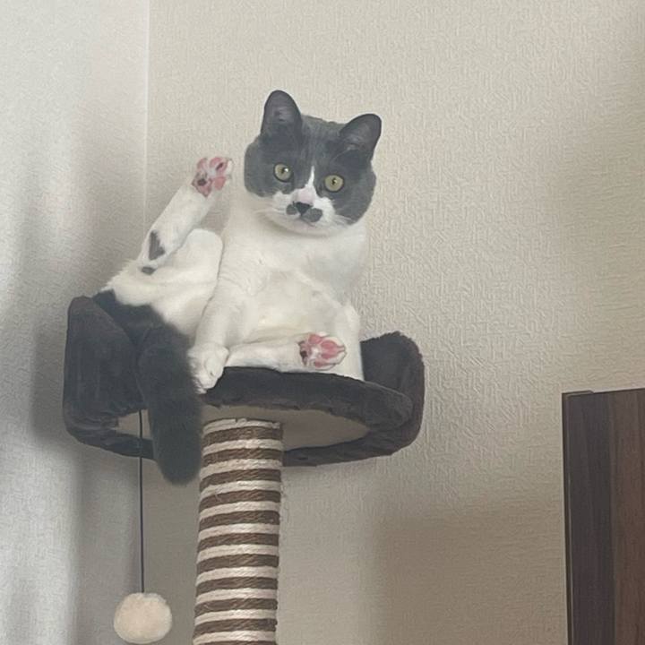 62beb34f 8439 454c 928f 0cc1768382bf 1674401405161