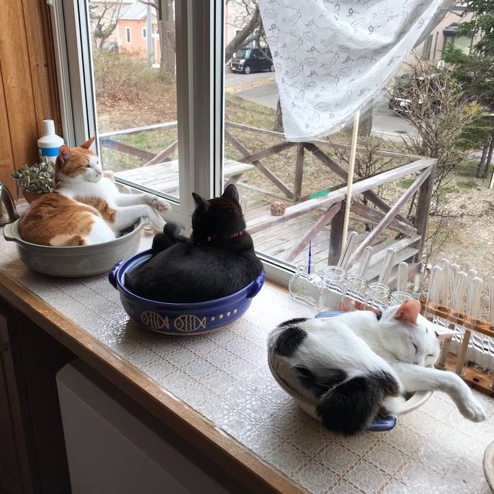 62bf2c27 0de2 428c a6e1 14a2cd928ae7 1588488967025