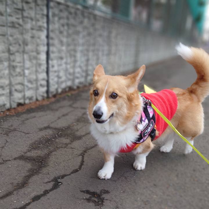 62bf6621 4df6 42b7 9080 25bf05f45b86 1774309811622