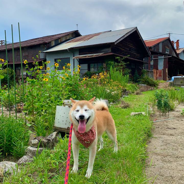 62bf6ce8 659b 49d8 9ca0 1175fa2281dd 1690878664760