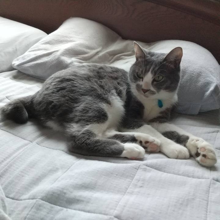 62bf9cc1 7faa 48b5 ad56 b7744410e312 1641772729271