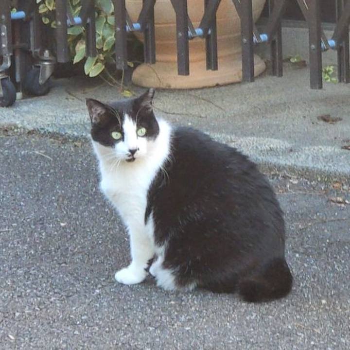 62bfa3c8 3201 406b 9cd7 d4684193099e 1730773185183