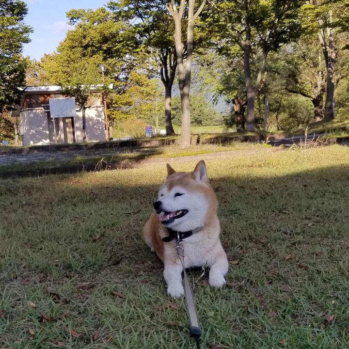 62bfd4f7 7d17 4467 a41f d8fa0249e4fa 1695970374304