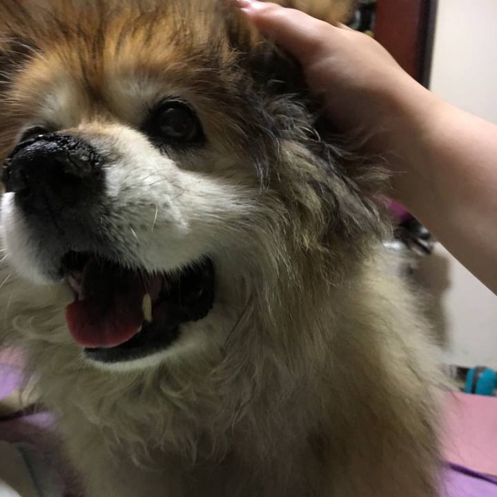 62c03b8e 3985 4a2f 947b 38ac966a1809 1594298644297