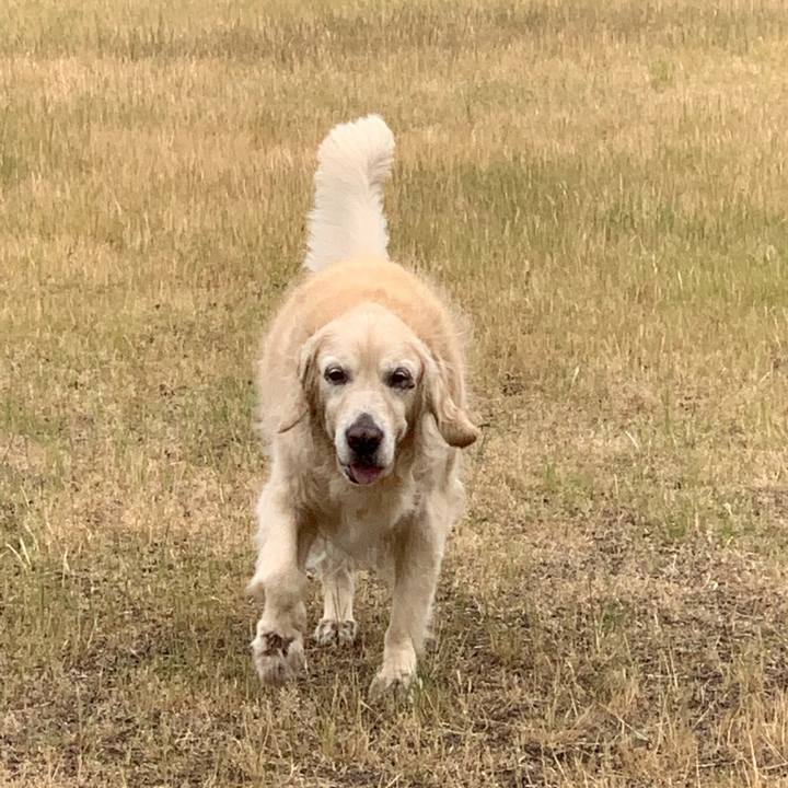 62c04dc6 7825 4d52 ac8c 07a0229f1931 1558828278615