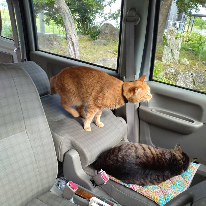 62c08362 8d76 4503 aff4 bdd77c18d6fd 1716972774882