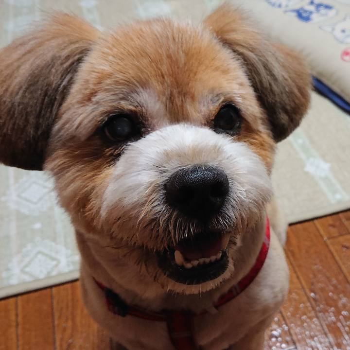 62c091f4 92e7 47ed b37e 5eaf81cfba08 1595408825589