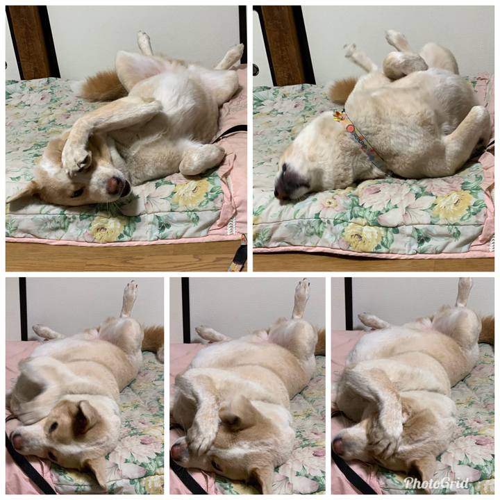 62c0bf76 dcbd 4d58 a61c e22d0c1e5691 1570286853960