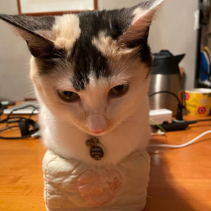 62c0d7d0 9fdd 406f b67f 3229cd0dc569 1756893828375