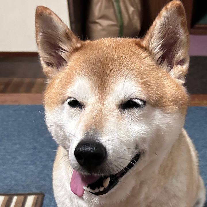 62c0dee3 1d04 481e be49 99411e22f2ee 1725727728282