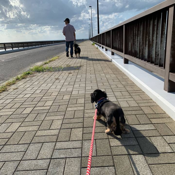 62c12fc1 705b 43fa 975d b1e132378fd9 1600636041677