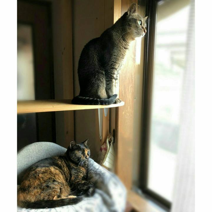 62c13df0 e4b6 4704 a323 dc6a924a27b4 1589243654552