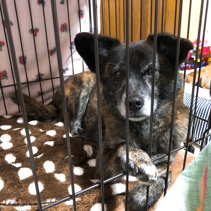 62c14844 701b 49dc a357 57475f5a06ad 1587556288164