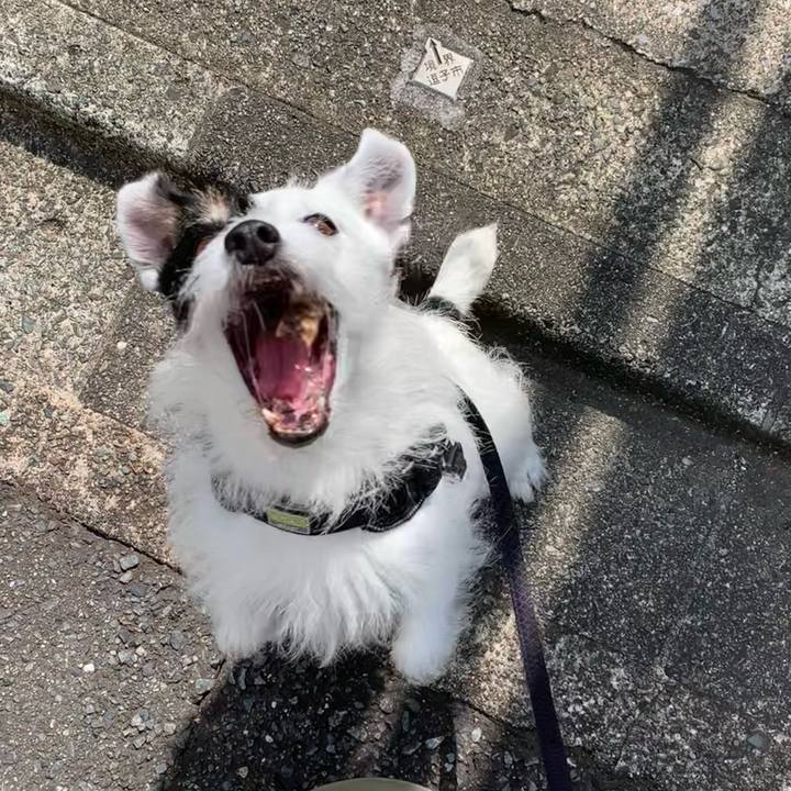 62c164d2 202e 4317 9833 041e2f407c2f 1750289441346