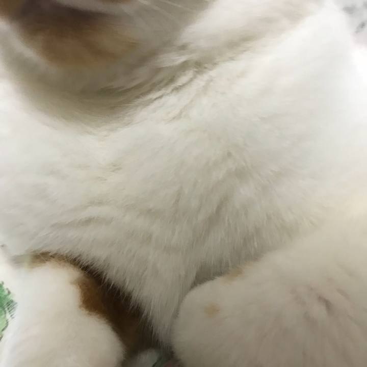 62c1747e 64af 4a87 94cb 4e1547728e11 1522964797484