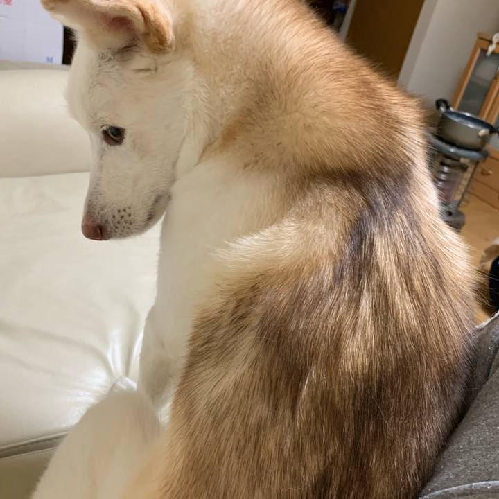 62c1927f 395d 4cfa 93ac 91d2f8635aea 1584450473950