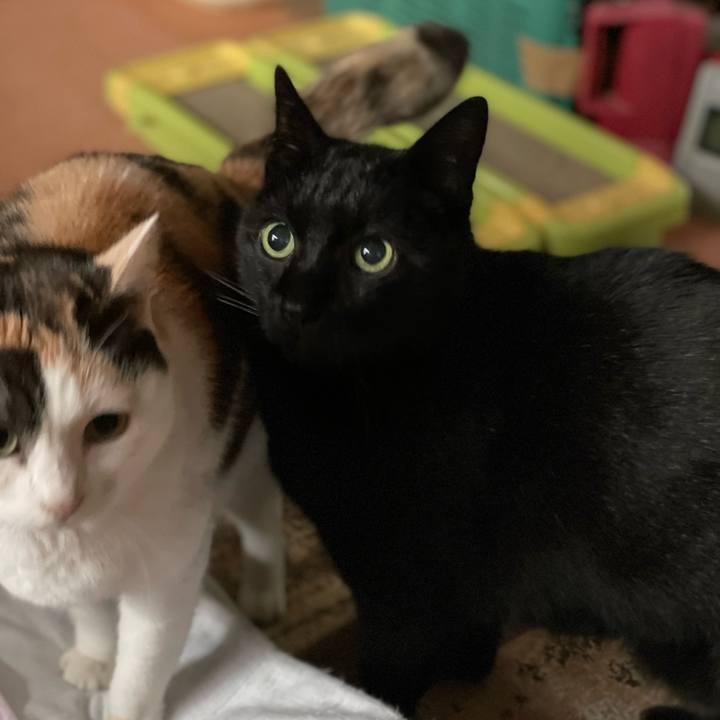 62c195bd 7a54 41fb afcf f9c8e0a71af0 1641866587907