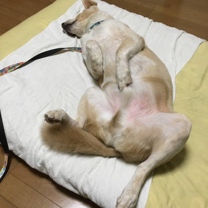 62c1ab0b 8d26 47c8 bb10 693dd534edcd 1536498016650