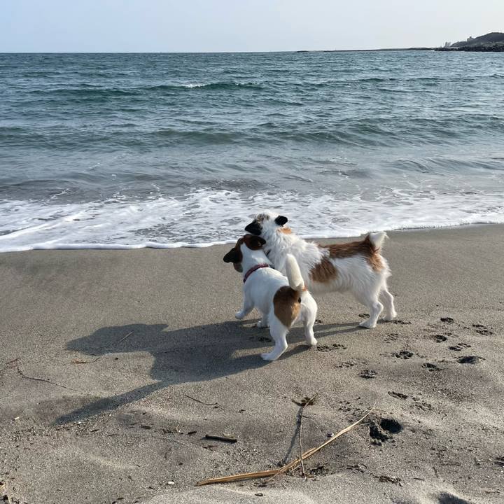 62c1ba35 e491 4a66 baa4 aff7f711cc00 1649290727599