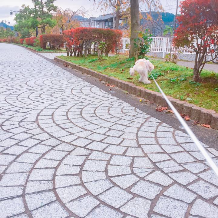 62c1d35b 97c3 4416 9fda 1e81a46da566 1541648997480