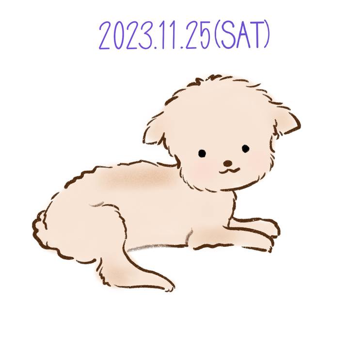 62c1e8b9 2614 4f6d 9878 45e9f364d102 1700914054419