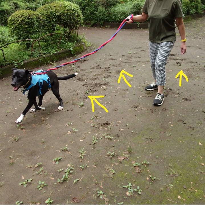 62c2244a f44c 4b0c 9966 9075761dde8c 1630974463276