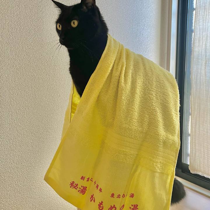 62c23bdc fc8c 4c58 9c0d f39814a38ba1 1704502895623