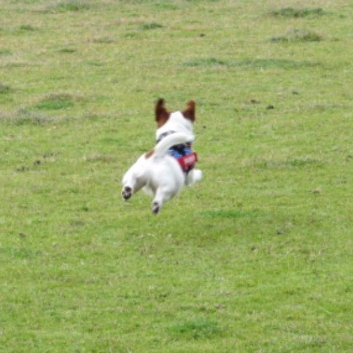 62c2ba6e 844a 4d99 afe9 7d2abfca2a1e 1553160163182