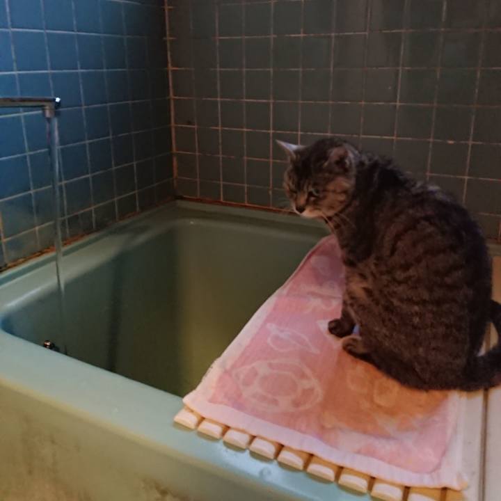 62c2f5c7 4a2d 4fee 9a81 ccde67d4b6e5 1592216090318