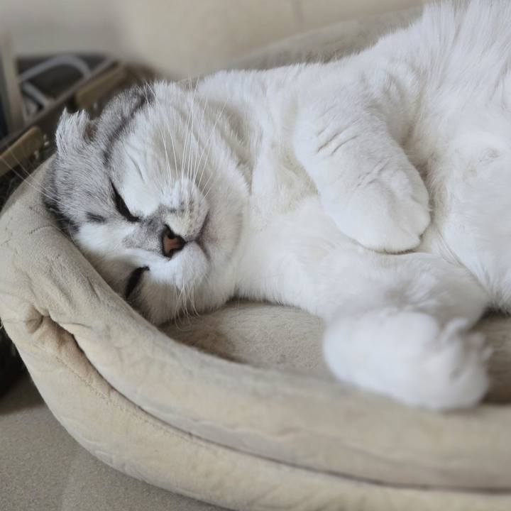 62c3067e 1bfd 4d8f bf4f 94e526314c94 1750895285903