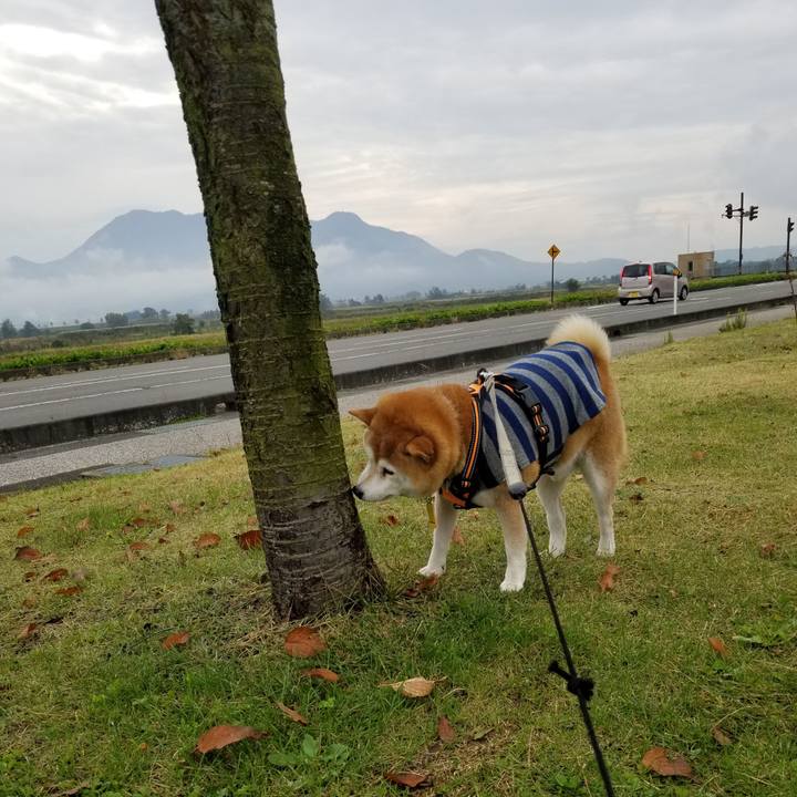 62c3165f 8e41 41ff 965c 09ecb74095e4 1635642960637