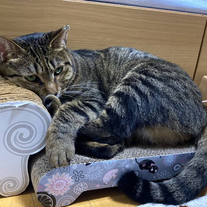 62c31b53 e893 42f3 a21c 6644b0cf7445 1663583247343