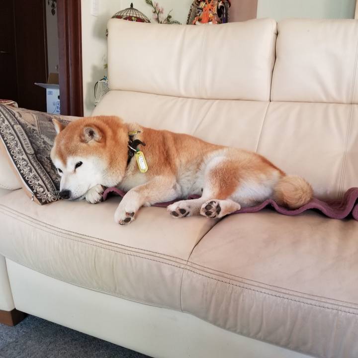 62c31d81 bf2b 40dd be0f e72b81508dfe 1653692113398