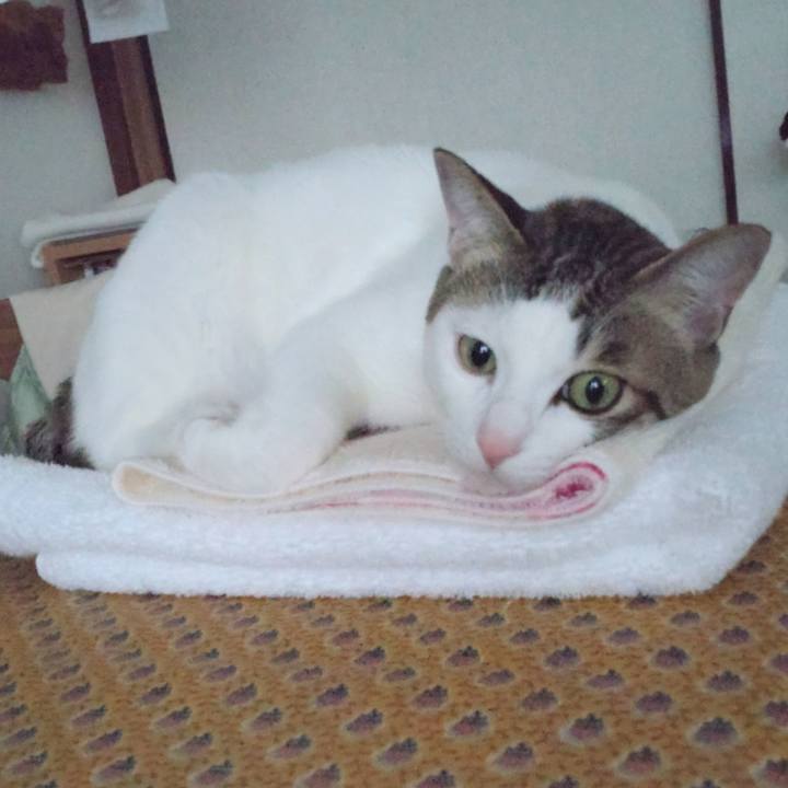 62c330b7 bb03 41b0 9ed4 62e89f6484c5 1710660670913