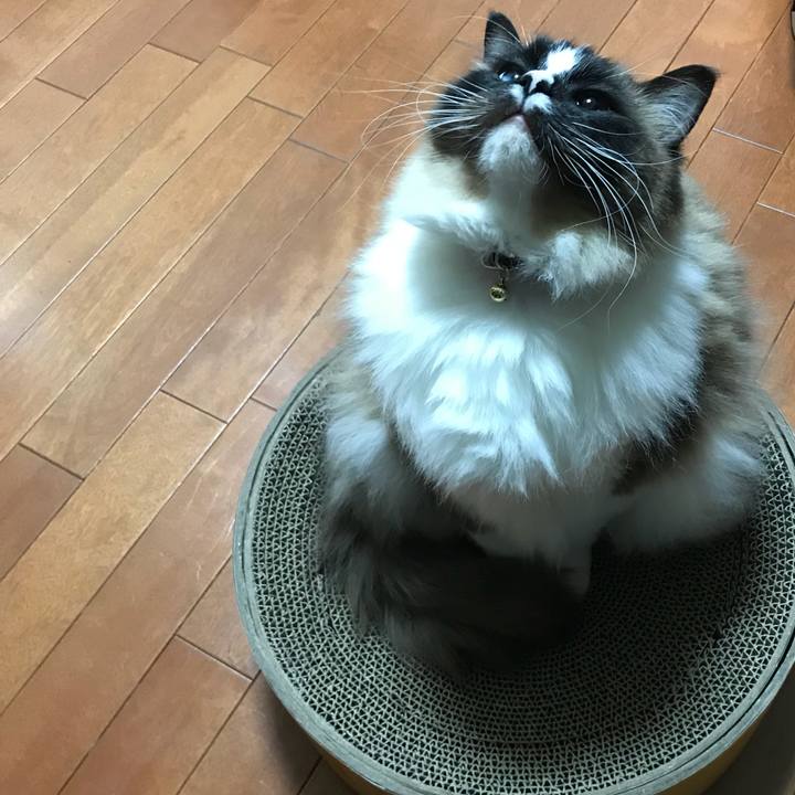 62c33b4c 1231 4171 a403 89ef621be5d6 1523612920200