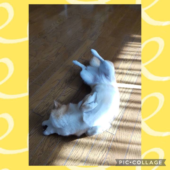 62c346a7 f5de 4972 bd07 1e5c06273605 1728697230182